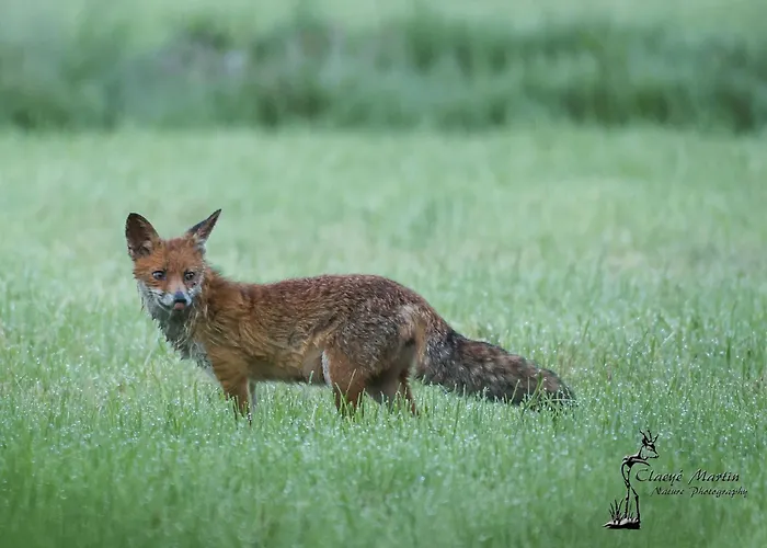 Nocleg ze śniadaniem Warm Welkom Wezep