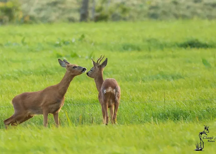 Warm Welkom Nocleg ze śniadaniem