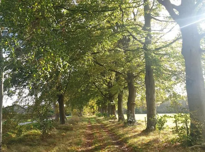 Bed and breakfast Warm Welkom