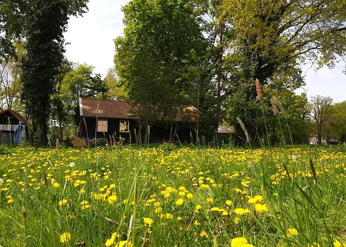 Warm Welkom Bed and breakfast