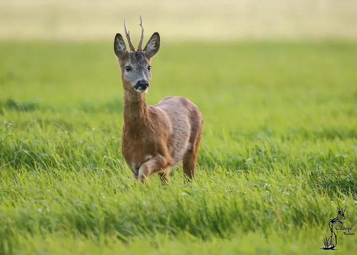 Warm Welkom Bed and breakfast